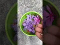 Download Lagu try this flower band in summer |diy #|nature #Hello Creater |flowers|shorts
