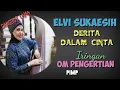 Download Lagu ELVI SUKAESIH  -  Derita Dalam Cinta