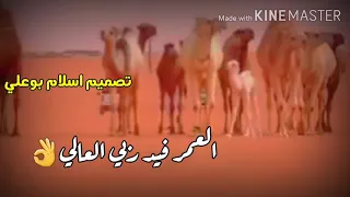 الشاعر محمد بوسته اتراب وطنا ماخذلنا دندنها