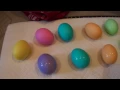 Coloring Easter Eggs with Peeps my dog