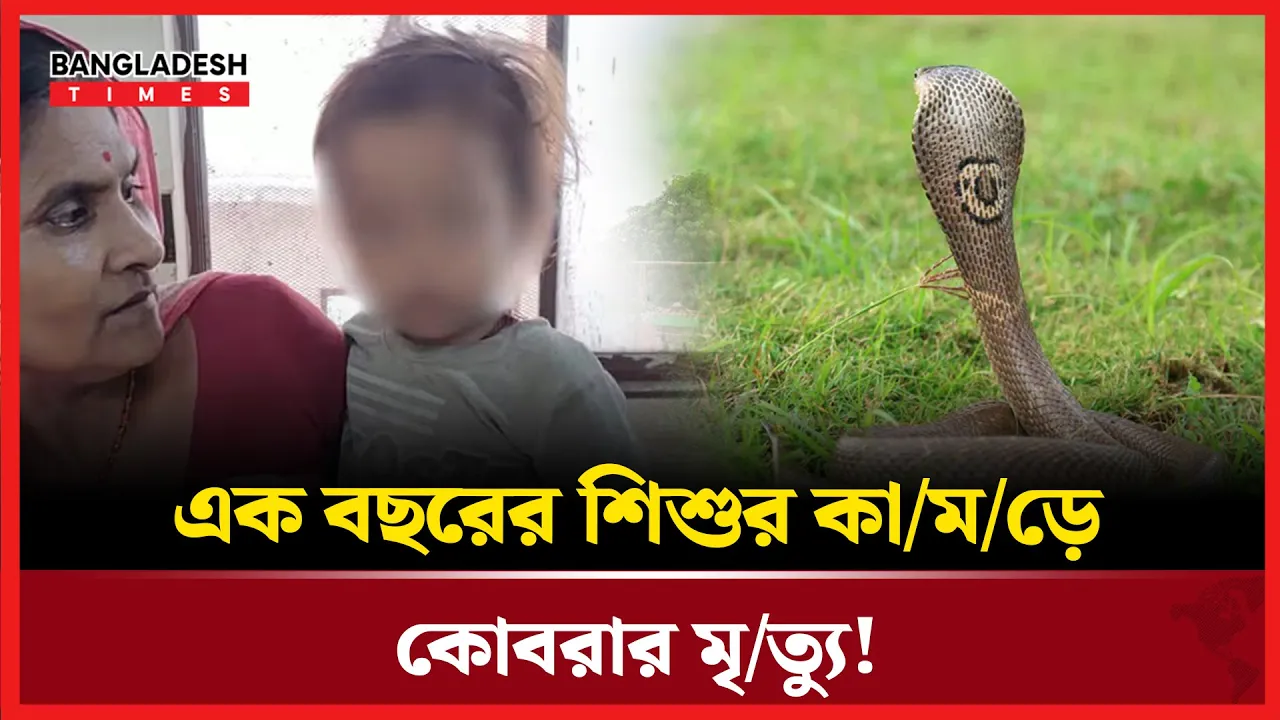বিহারে বিস্ময়কর ঘটনা, শিশুর কামড়ে সাপের মৃত্যু