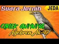 Download Lagu MASTERAN CIGUN (CIBLEK GUNUNG) NGEBREN AK-47 JERNIH || GEMERCIK AIR