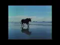 Merrill Lynch 1986-1987 TV Commercial Your World Should Know No Boundaries