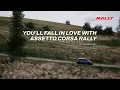 Assetto Corsa Rally Early Access Media Accolades Trailer