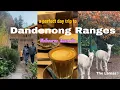 Rainy Day Trip to the Dandenong Ranges from Melbourne Australia Cafes Cosy Vibes