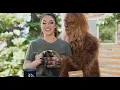 Wilderness Coffee - Bitter Barista