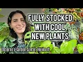 NEW PLANTS Monstera bulbasaur Alocasia vemon More at Osborne s in Hooksett NH