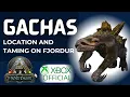 Fjordur where and how to get Gacha s Server