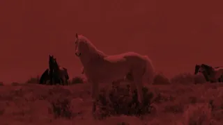 Molotof X Reem Ya Sha3raha Ya Zein ريم و مولوتوف يا شعرها يا زين Official Audio 