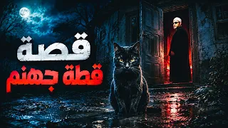 قصة قطة جهنم التي غضب الله لها - روائع دروس الشيخ كشك المسائية