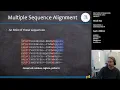 Multiple Sequence Alignment MSA in R Bioinformatics S11E2