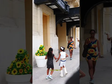 Sigue mi pagina para ver mas videos divertidos 🤣 #shorts #funny