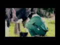 الف تحية لمحبين علي الديك