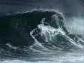 Surfing Wipeouts & The Surfaris Video