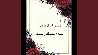 مشي امرك يا قدر دندنها
