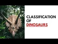 CLASSIFICATION OF DINOSAURS