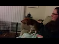 Buddy howlception