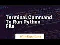 terminal command to run python file