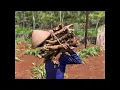 Download Lagu Video Profil Padukuhan Banombo B KKN UII 71 Unit 151