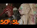 *Juking* SCPs - SCP:SL