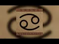 Download Lagu Swans Live at the Norva 09/06/2025 (Norfolk, Virginia)