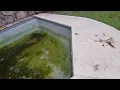 Submersible Pump 2 Rental from Home Depot for 36 for 4 hours to drain a pool - About halfway done