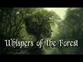 Download Lagu Whispers of the Forest 🌿 Celtic Fantasy Music 🌲 Enchanting Wiccan Pagan Music 🌳