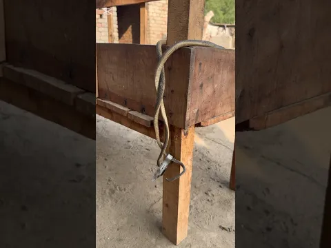 Snake Rescue Attempt | Safe Handling Village area #shorts