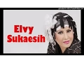 ELVY SUKAESIH - PADUAN JANJI (BAGOL_COLLECTION)