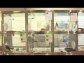 Maricopa County Animal Shelter seeing adoption returns
