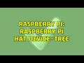 Raspberry Pi Raspberry pi HAT device-tree 2 Solutions