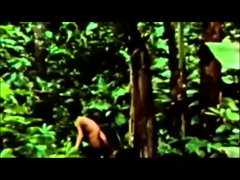 Secrets of the Tribe trailer