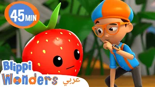 الفرق بين الخضر والفواكه بليبي بالعربي كرتون بليبي Fruit Vegetables  الفرق بين الخضر والفواكه بليبي بالعربي كرتون بليبي Fruit Vegetables