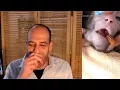 Reddit challenge