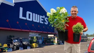 How to start a nursery with plants from Lowe s Can you really do it