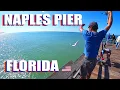 Naples Pier Walking Tour Best Pier Fishing In Florida