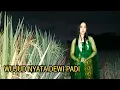 Download Lagu KALIAN TIDAK AKAN PERCAYA SEBELUM MELIHAT DEWI SRI ATAU DEWI PADI 