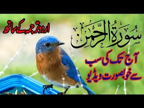 Download MP3 Surah Rahman Urdu Tarjuma Kay Saath | No Ads | Surah Rehman With Arabic Text | BY 786 Cuisine