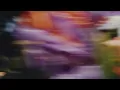 Catching Flies - Friday Lake [Official Audio]