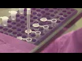 An exclusive look inside a Houston COVID genome sequencing lab