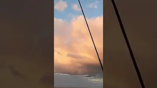 Golden Ocean Hour