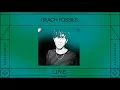 Beach Fossils - L.I.N.E. (Official Audio)