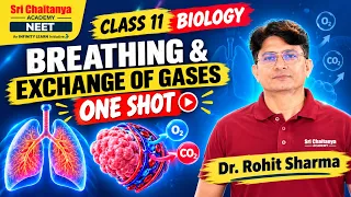 Breathing & Exchange of Gases One Shot | Class 11 Biology | PYQs, Tricks & Expected Questions | NEET