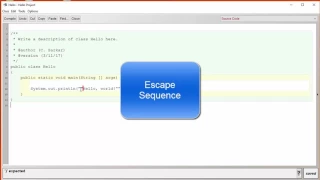 Intro CS Java Escape Sequences