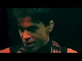 Prince - Little Red Corvette (Musicology Live)