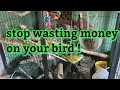 Download Lagu STOP wasting money on your bird |  diy bird  toys