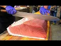 Download Lagu The Sharpest Knife Cuts Giant Bluefin Tuna Like Butter - Luxurious Sashimi and Steaks
