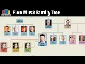 Elon Musk Family Tree