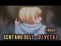 Download Lagu 1 HOUR || SENTANU DELI - DJ VETA3 || SUPER SLOWED +REVERB || CHARLES EDIT