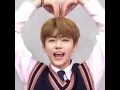 Download Lagu Jaemin say saranghae!!!!!